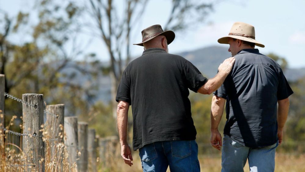 Life after bushfires